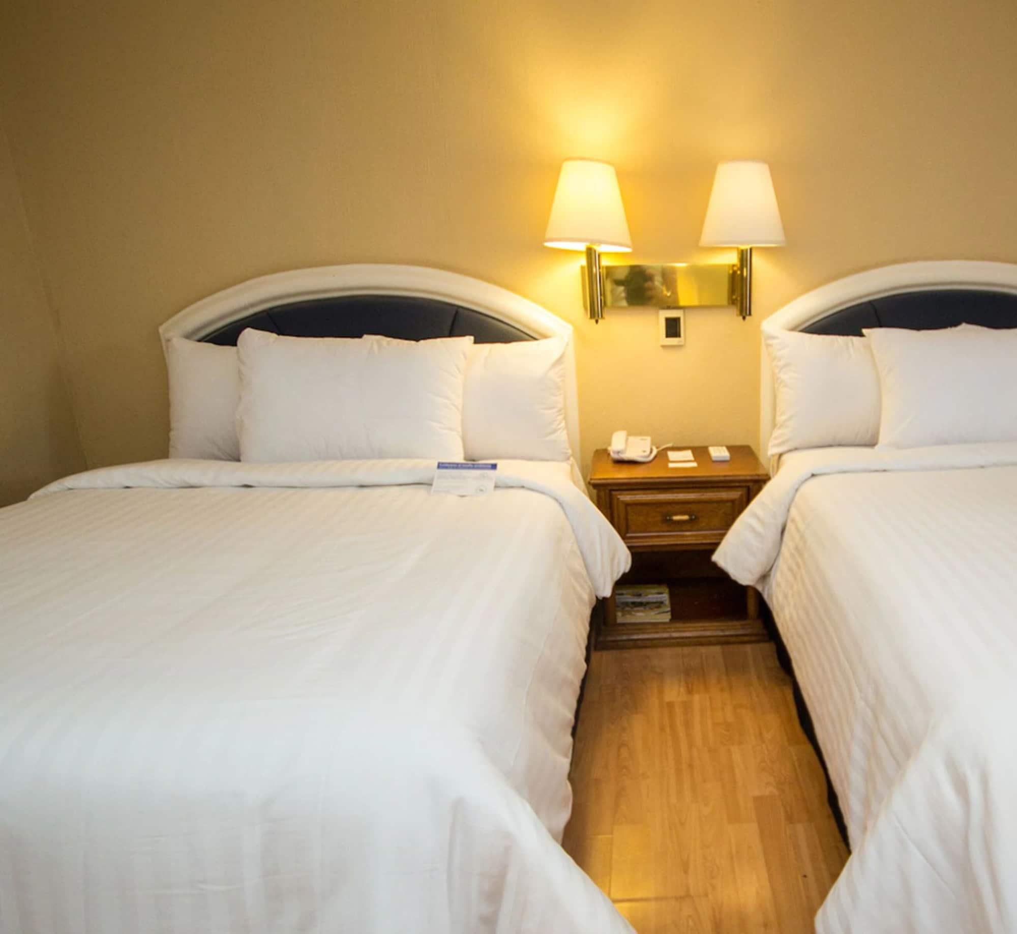 Hotel Gran Plaza & Convention Center Guanajuato Eksteriør billede