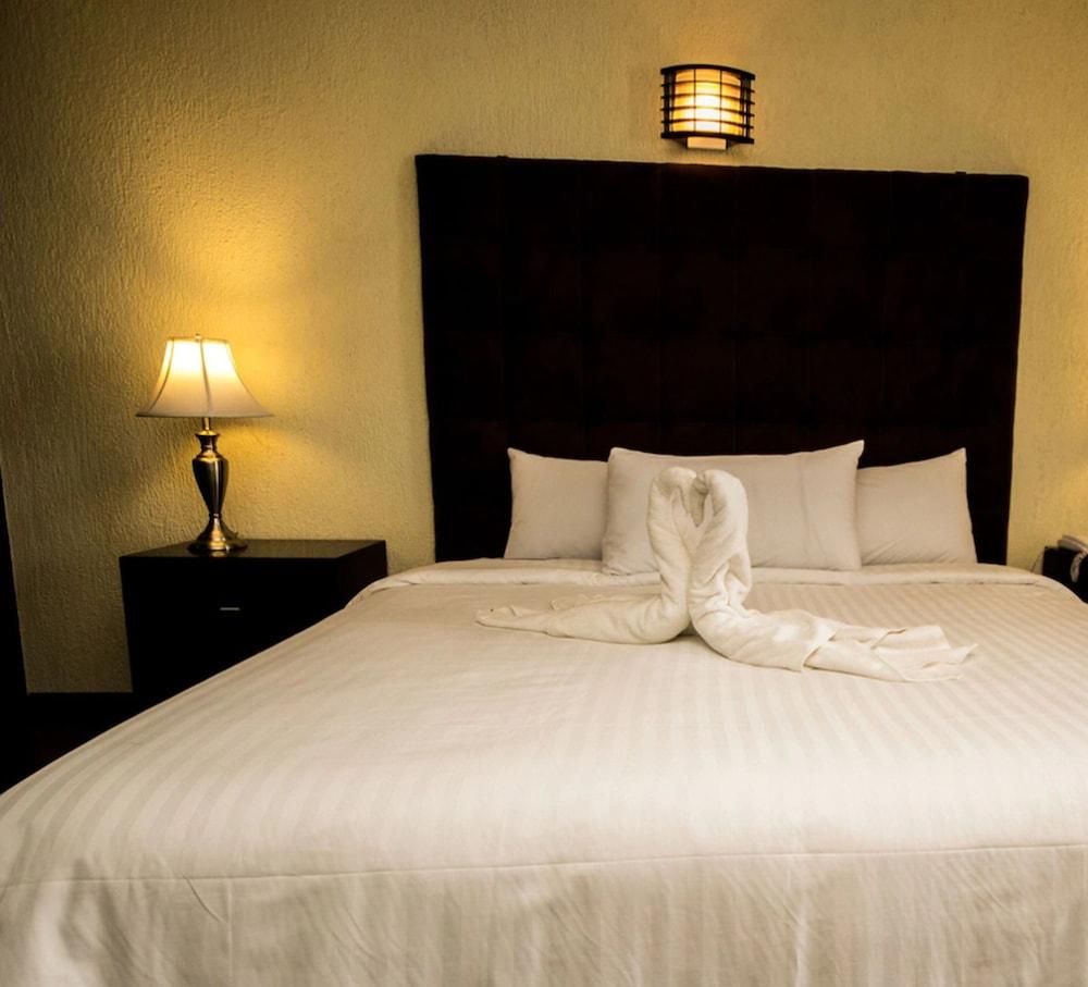 Hotel Gran Plaza & Convention Center Guanajuato Eksteriør billede